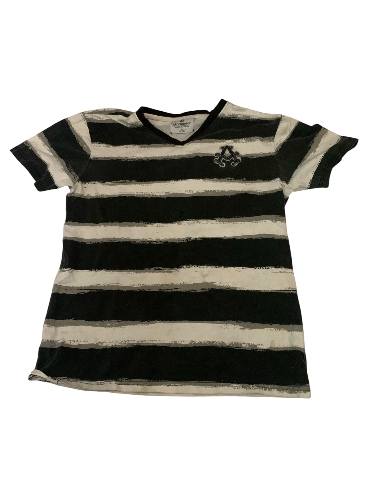 Akademics Striped Tee