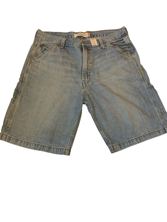 Levi Carpenter Jorts